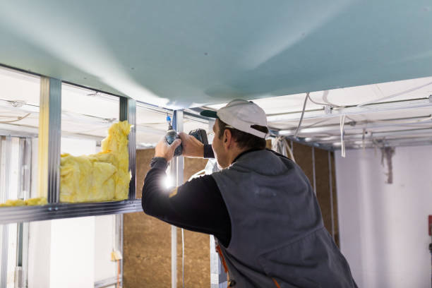 Best Types of Insulation in Bret Harte, CA